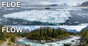 Floe vs Flow: Meaning, Difference, and Usage